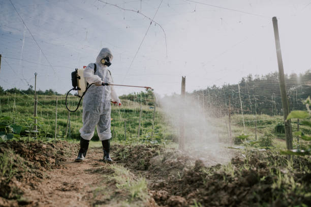 Best Pest Control Cost  in Belle Plaine, MN