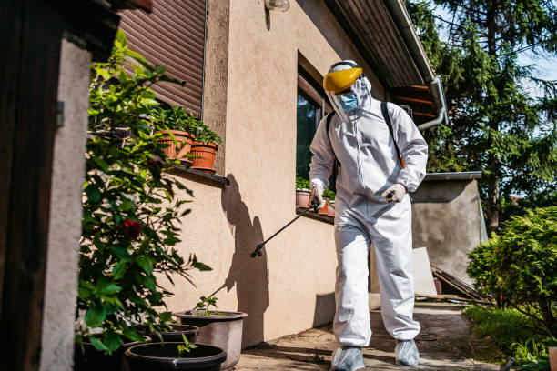 Best Wasp Removal Services  in Belle Plaine, MN