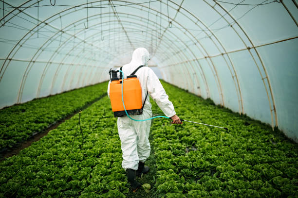 Best Best Pest Control Near Me  in Belle Plaine, MN