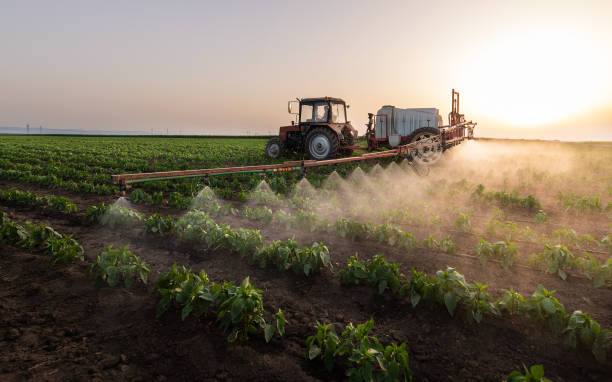 Best Best Pest Control Companies  in Belle Plaine, MN