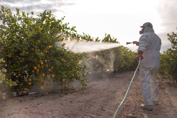 Belle Plaine, MN Pest Control Company