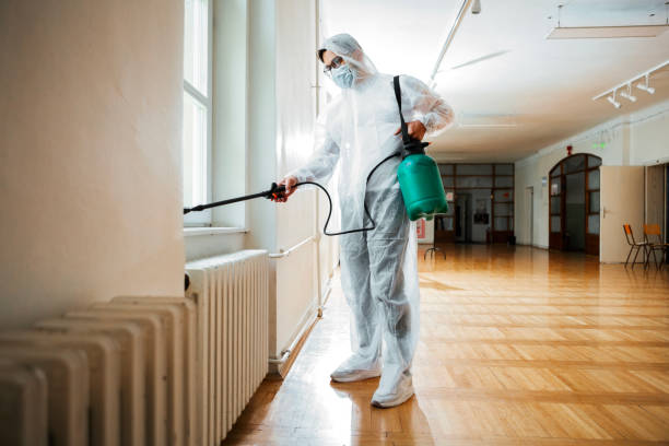 Best Mosquito Control Services  in Belle Plaine, MN